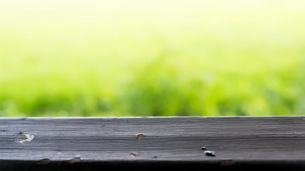 Soliga abstrakt grön natur bakgrund med bord, defocused — Stockfoto