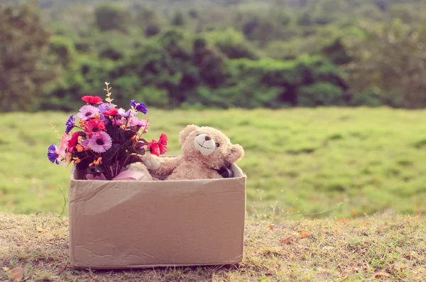 Αρκούδα και λουλούδι μπουκέτο σε καφέ κουτί για την πράσινη χλόη με φυσικό — Φωτογραφία Αρχείου