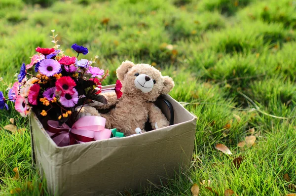 Αρκούδα και λουλούδι μπουκέτο σε καφέ κουτί για την πράσινη χλόη με φυσικό — Φωτογραφία Αρχείου