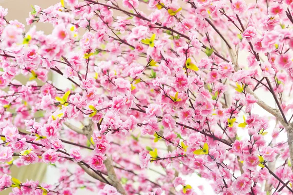 Sahte Sakura bahar çiçekleri ile sığ derinlik-in tarla — Stok fotoğraf