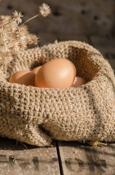 Eggs with nature light. — Stock Photo, Image