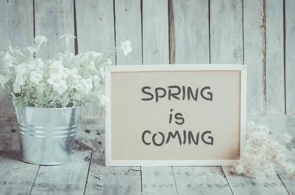 Spring is coming message on corkboard and potted flower by woode — Stock Photo, Image