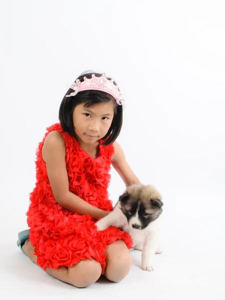 Asian girl and Thai Bang Kaew puppy isolated on white. — Stock Photo, Image