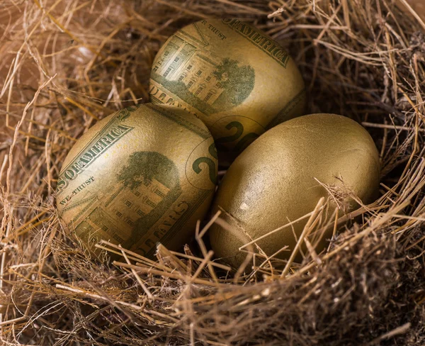 Dólar en huevos de oro con nido, concepto de riqueza . — Foto de Stock