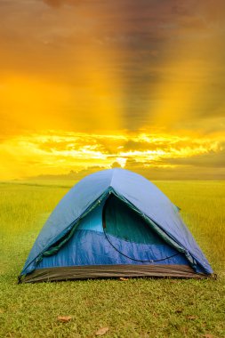 güneşin doğuşunu çimenli alan içinde kamp çadır üzerinden