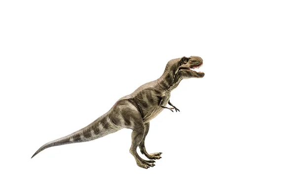 Elszigetelt dinoszaurusz fehér alapon — Stock Fotó