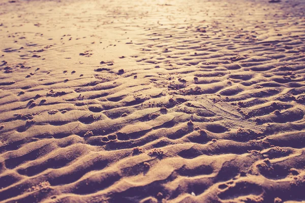 Mokré zlatého jemnozrnný písek z pláže vlnitý texturou. Písek z pláže backdr — Stock fotografie