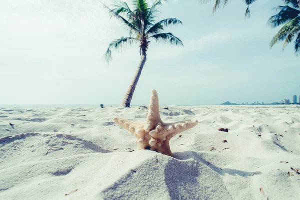 Étoile de mer et noix de coco sur la plage, à Hua-Hin Thaïlande, millésime — Photo