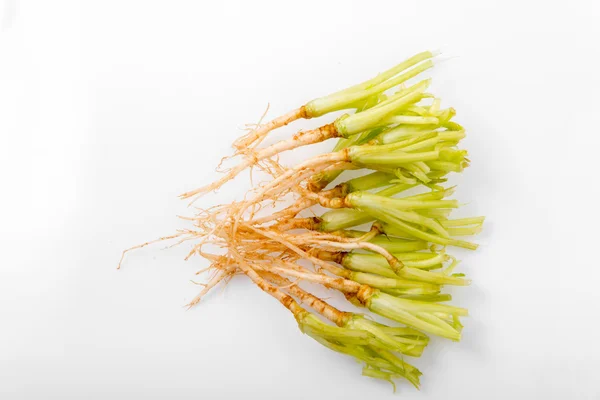 Celery roots on white — Stock Photo, Image