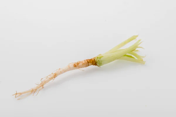 Celery roots on white — Stock Photo, Image