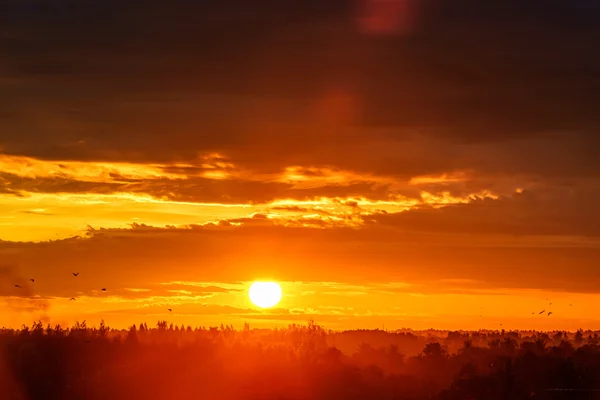 Sun set with sunny ray. — Stock Photo, Image