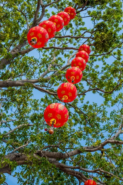 Rote chinesische Lampe zum Fest, auf dem Baum. — Stockfoto