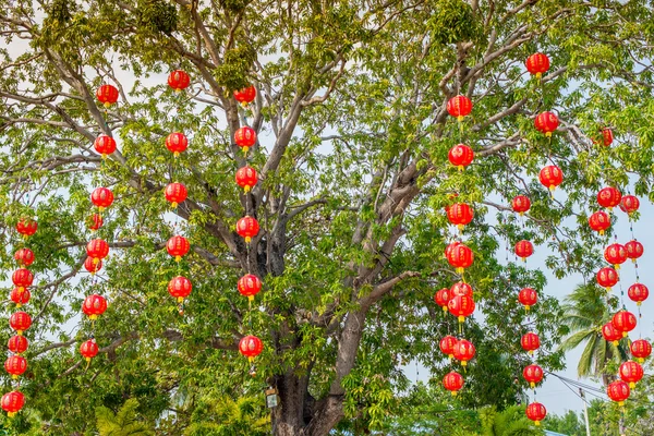 Czerwona Lampa chiński Festiwal, na drzewie. — Zdjęcie stockowe