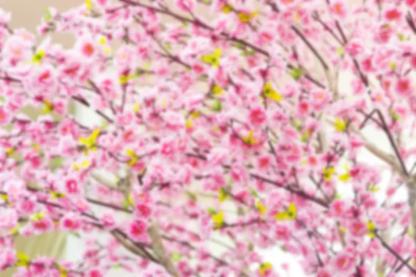 Fondo borroso Sakura flores de primavera — Foto de Stock