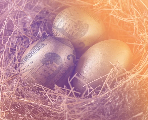 Δολάριο σε χρυσά αυγά με φωλιά, έννοια του πλούτου. — Φωτογραφία Αρχείου