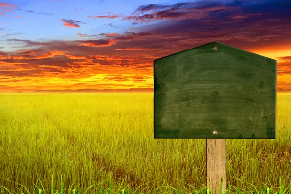 Placa de sinal verde com fundo natural — Fotografia de Stock