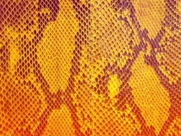Pele de cobra com o padrão — Fotografia de Stock