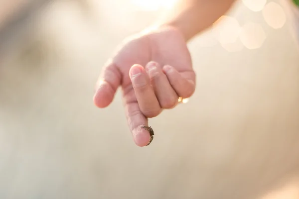 Kleine krab op boy's vinger — Stockfoto