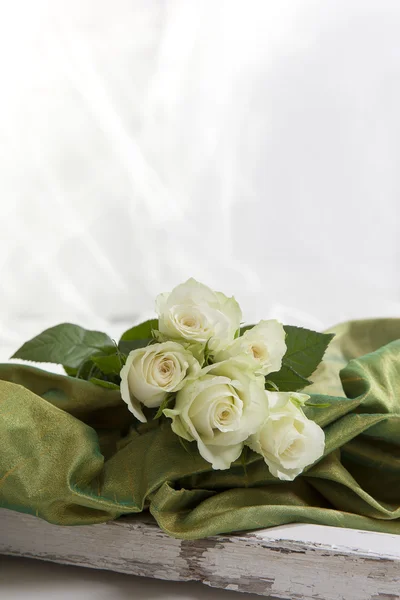 Parlak yeşil kumaş üzerine beş beyaz güller — Stok fotoğraf