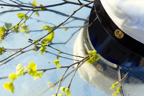 Finnish student cap — Stock Photo, Image