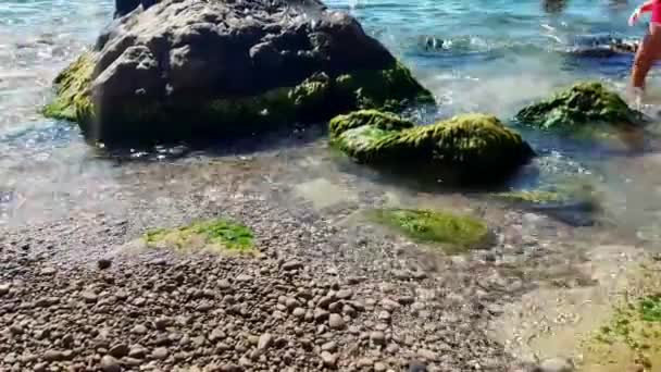 Água Limpa Mar Pequenas Ondas Flui Costa Rochosa Com Uma — Vídeo de Stock