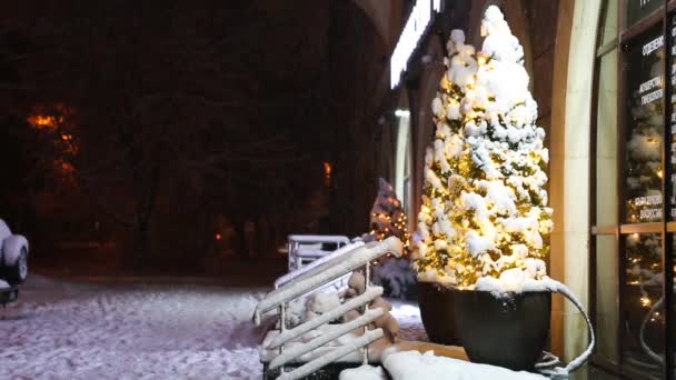 Ночной Город Снегопаде Украшением Рождественской Улицы Молодая Женщина Проходит Мимо — стоковое видео