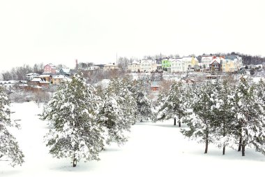 Kar yağdıktan sonra ormanda karla kaplı ağaçlar. Beyaz ladin ve çam ağaçları, doğal arka plan. Çam ağaçlarıyla kaplı bir kar tarlasının üstündeki tepede kulübeler.