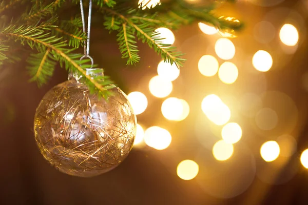 Golden Christmas Ball Live Branch Fir Tree Golden Lights Garlands — Stock Photo, Image