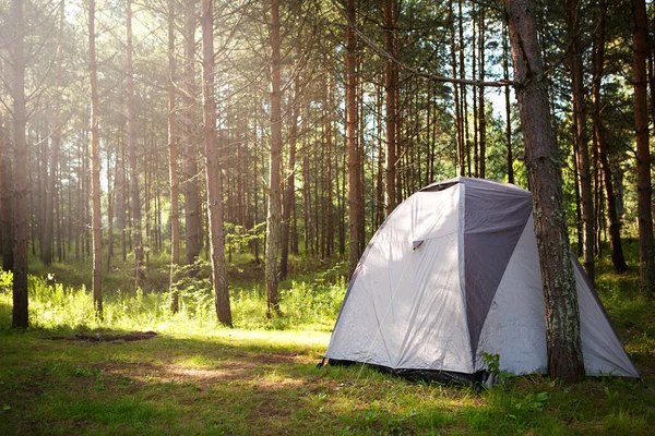 Aufgebautes Touristenzelt Der Natur Wald Inlandstourismus Aktive Sommerferien Familienabenteuer Ökotourismus — Stockfoto