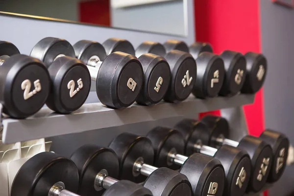 Dumbbells of different weights with numbers are on a rack in the gym. Sports equipment, training, bodybuilding. Background