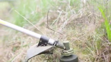 Trimer çimleri yakın plan biçer. Hareket halindeki balık oltası ve havadaki çim parçacıkları. Çimlerin bakımı ve evin yakınındaki alan, yazlık ev, manzara tasarımı, çiçekçi, bahçe ve mahsul.. 