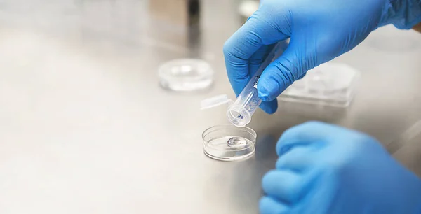 Laboratuvardaki bir bilim adamının elleri, bir deney tüpü ve bir mikroskopla. Aşıların icadı, tüp bebek kliniğinde çalışan bir doktor. Testler, yumurtanın döllenmesi.