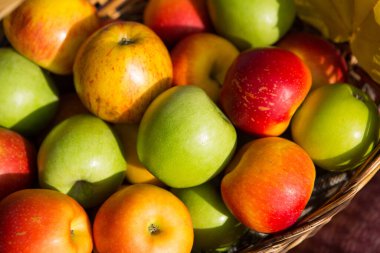 Apples in a basket close - up-yellow, green, red. Autumn, harvest, copy space