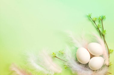 Beyaz Paskalya yumurtaları dallarında yaprak tomurcukları olan renkli tüylerden oluşan hassas bir yuvada. Bahar, dini bir bayram, hayatın doğuşu. Uzayı kopyala Açık yeşil arkaplan