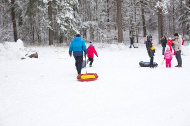 İnsanlar aileleriyle karlı kış ormanlarında kayaklar, kızaklar, şişme borular ile tepeden aşağı yuvarlanarak kale ve bir kardan adam inşa ederek yürüyor. Kışın açık hava aktiviteleri. 22 Kasım 2020-Kaluga, Rusya. 