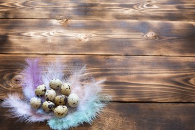 Hassas pastel renkli tüylerin yuvasındaki ahşap bir masada benekli bıldırcın yumurtaları. Paskalya köyü geçmişi, doğal çevre dostu ürünler. Boşluğu kopyala