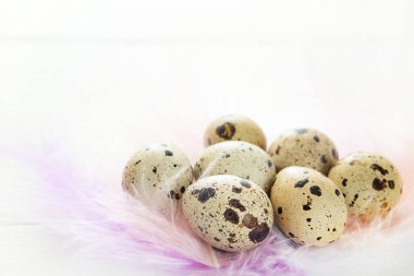 Hassas pastel renkli tüylerin yuvasındaki ahşap bir masada benekli bıldırcın yumurtaları. Paskalya köyü geçmişi, doğal çevre dostu ürünler. Boşluğu kopyala