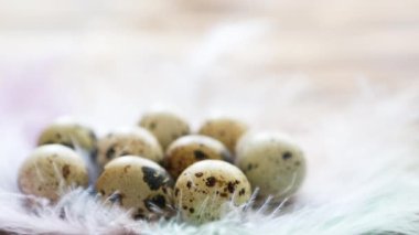Hassas pastel renkli tüylerin yuvasındaki ahşap bir masada benekli bıldırcın yumurtaları. Paskalya köyü geçmişi, doğal çevre dostu ürünler. Hafif bir esinti tüyleri ürpertir.