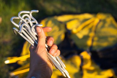 Yakın çekimde turist sarı çadırı kurmak için alüminyum kazıklar. Turizm için hafif ekipman. Açık hava aktiviteleri, toplantı talimatları, yurtiçi eko-turizm. Boşluğu kopyala