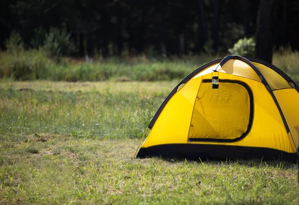 Installiertes Touristenzelt Und Eine Campinglaterne Der Natur Wald Inlandstourismus Aktive — Stockfoto