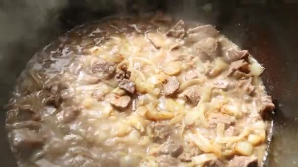 Mięso Cebula Duszone Kotle Sosie Bliska Gotowanie Pilaf Elaznej Kazan — Wideo stockowe