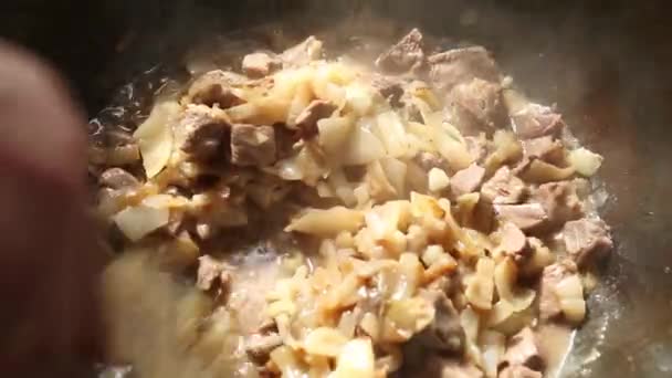 Ręka Kucharza Łyżeczką Miesza Kawałki Mięsa Smażoną Cebulę Sosie Patelni — Wideo stockowe
