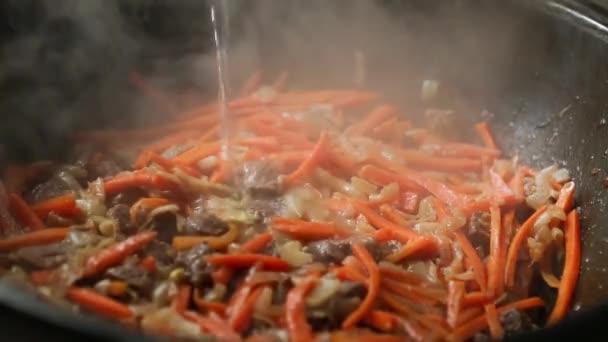 Meat Carrot Onions Stewed Cauldron Sauce Close Cook Adds Boiled — Stock Video