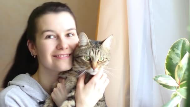 Portré Egy Nőről Akinek Csíkos Macskája Van Egy Függönyös Ház — Stock videók