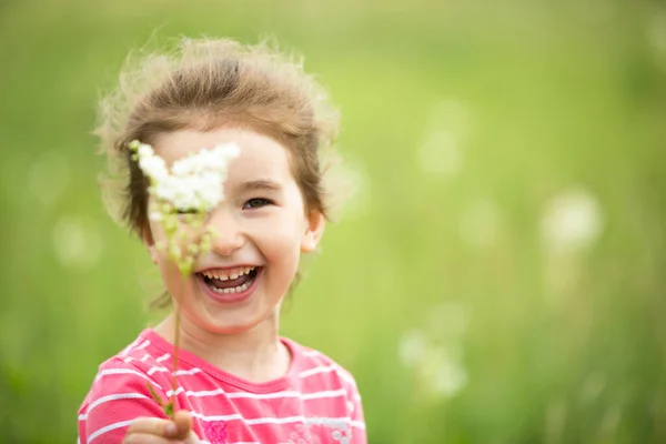 Portrait Cute Girl Field Wild Flower Childhood Holidays Country Freedom — Stock Photo, Image