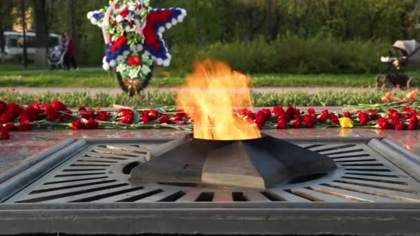 永远的熊熊燃烧着鲜花 用国旗和花环装饰着 一个纪念阵亡士兵的纪念碑 对战士的记忆 第二次世界大战 伟大的卫国战争 胜利广场上的城市地标 — 图库视频影像