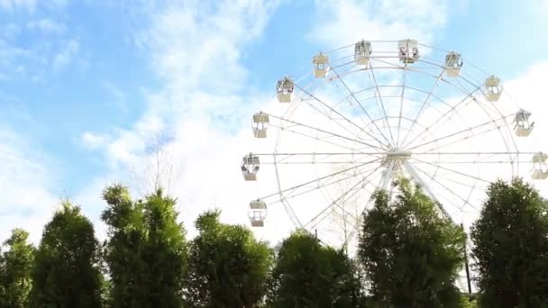 公园里的一个白色摩天轮在乌云的映衬下旋转着 夏天的公园 绿树成荫的小巷 — 图库视频影像
