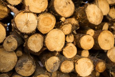 Odunların yakacak odunları olan yuvarlak bölümler, ahşap kırsal arka plan. Kır evi çekirdeği, doğa, ekoloji, katı yakıt. Boşluğu kopyala