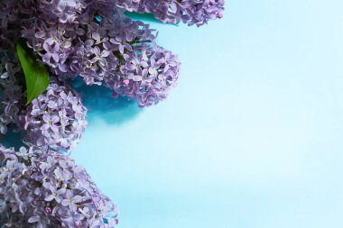 Mavi bahar arka planında gölgeli mor leylak dallar ve röfleler. Yazın başlangıcında, narin kokulu çiçeklerle çevrili bir çerçeve. Tatil 8 Mart, Paskalya, doğum günü, tebrik kartı