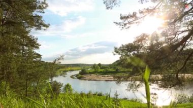 Nehir yatağının kıvrımlarında güneş parlıyor. Çam ağaçlarının gövdelerinden nehrin panoramik yaz manzarası. Ağaç dalları ve rüzgarda sallanan çimenler. Kamp, yürüyüş, eko-turizm, ekoloji